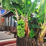 Finca Villa Lucia - Los Hervideros